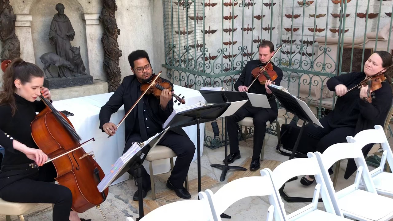 Promotional video thumbnail 4 for Mercury Strings
