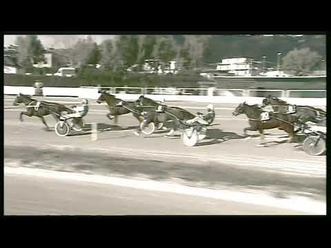 Trotto 23/02/2020 - 3ª corsa