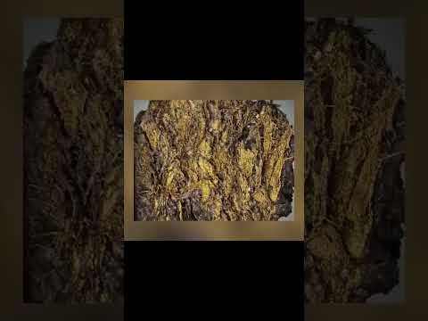 ブラジルでの考古学的発見:謎の標識が研究者を困惑させる