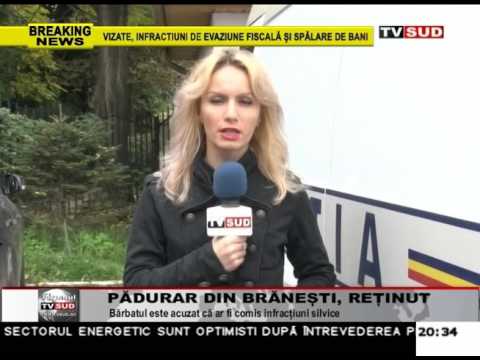 padurar din branesti, retinut