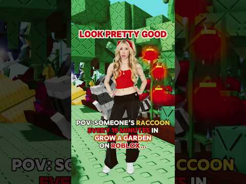 RACCOONS in “GROW A GARDEN” Every 15 MINUTES on ROBLOX…🦝