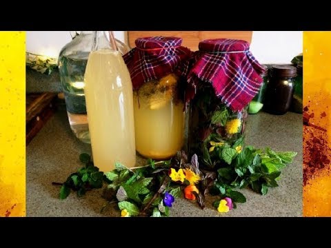 download lagu mp3 mp4 Preserving Mint In Vinegar, download lagu Preserving Mint In Vinegar gratis, unduh video klip Preserving Mint In Vinegar