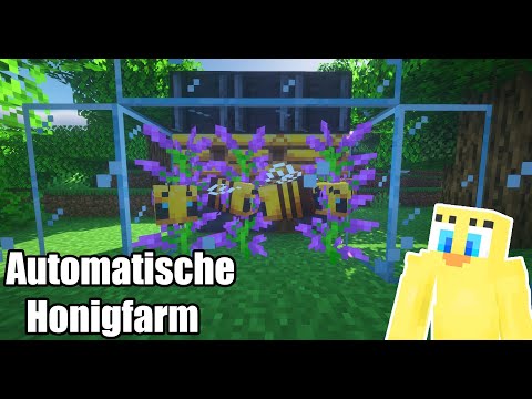 Minecraft: Automatische Honigfarm bauen (Tutorial 1.19)