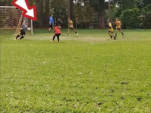 Lorenzo e as redes ..⚽⚽⚽🙌🏽