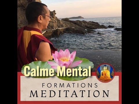 Play Video Youtube Video