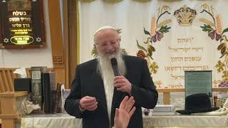 מתקדמים לגאולה שלימה | הרב שמואל אליהו | שבט תשפ"ו (הרב שמואל אליהו) - התמונה מוצגת ישירות מתוך אתר האינטרנט יוטיוב. זכויות היוצרים בתמונה שייכות ליוצרה. קישור קרדיט למקור התוכן נמצא בתוך דף הסרטון