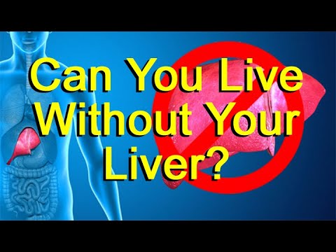 Can You Live Without Your Liver?