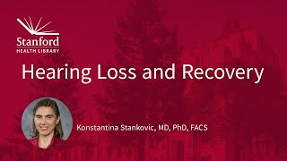 Hearing Loss and Recovery