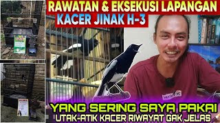 Download lagu CUMA BEGINI SAJA ⁉️ RAWATAN Kacer Jinakku Sebelum LOMBA ❗️ Kacer Gacor Konslet FULL BUKA EKOR mp3