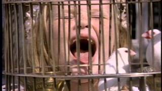 Rick Wakeman It's A Lovely Life 3 min 15 sec  9:20:84 New World Pictures Red Car  Ken Russell  Quick