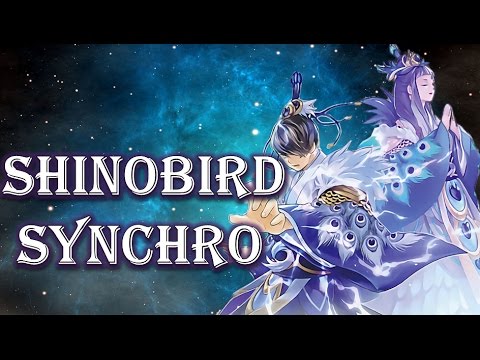 Deck Shinobird Synchro (Marzo/March 2017!)