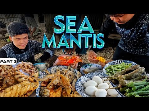 P3-SEA MANTIS - EP1148