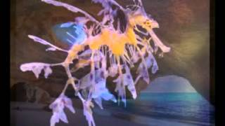 Thomas Krautmann - Bonzailead [DJ Session One remix]