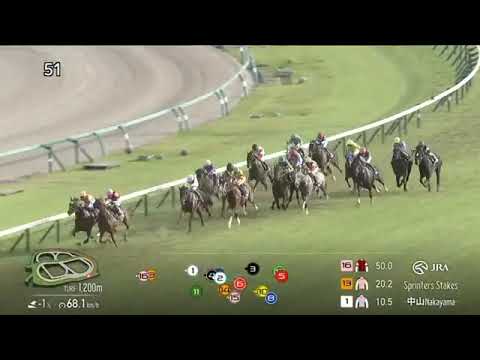 2025 JRA NAKAYAMA The Sprinters Stakes