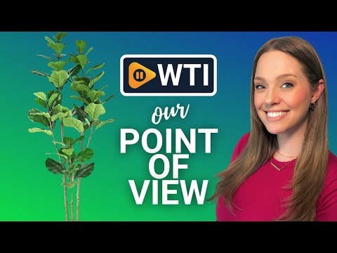 Artificial Fiddle Leaf Fig Tree - WTI product video review