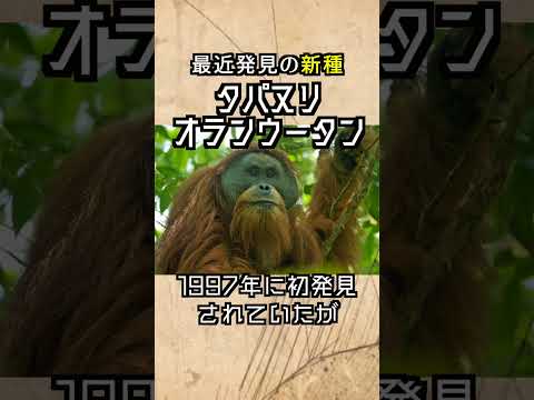 2016 年の新種トップ 10