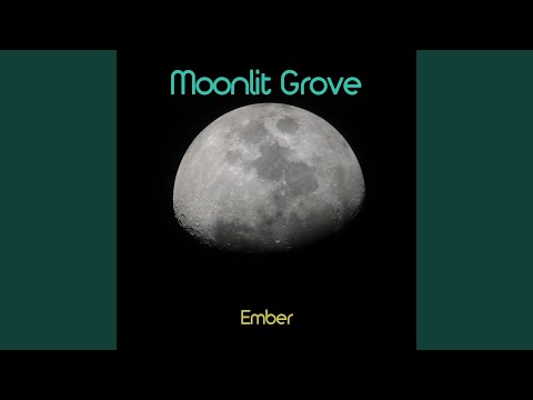 Moonlit Grove