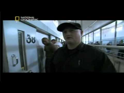 [National Geographic] Dietro le Sbarre - Predatori in gabbia.avi