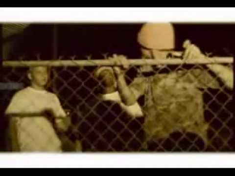 ANOCHE LLEGASTES TARDE ROBERTO ORELLANA