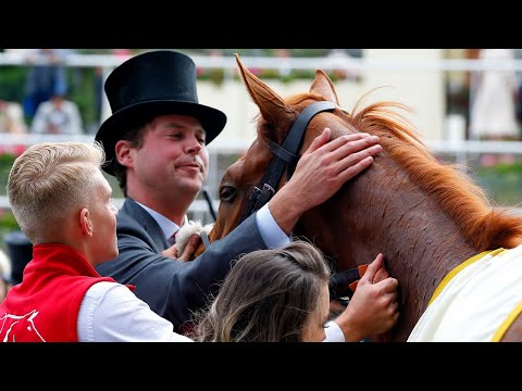 How do you train a racehorse?