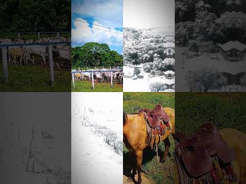 Gigante em Tiros/MG: Fazenda de 2.700 Hectares à Venda – Beira Rio e Terras de Cultura