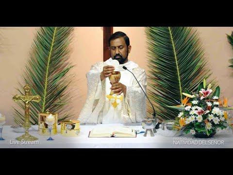 Misa domingo 17 de enero 8:30 hs. Parroquia Natividad del Señor. Padre Ignacio.