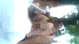 Chalekeando moral y luces 2008 parte 2