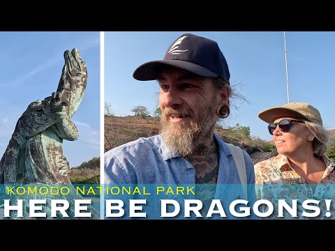 Visiting the Legendary Komodo Dragons in Indonesia & Seeing Wild Monkeys on the Beach!