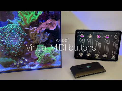 Remote control with “Virtual buttons” on the DM48X MIDI controller harmonica