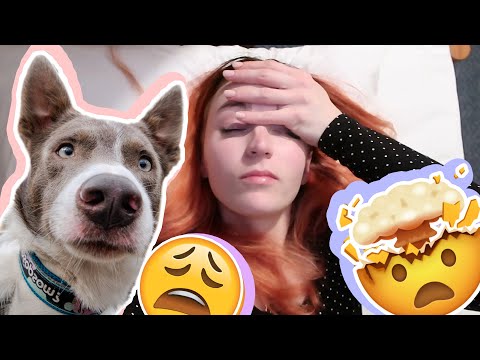 DISKotéka SO PSOM | vlog