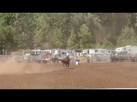 Alder Creek Rodeo Grounds- Lee St video thumbnail