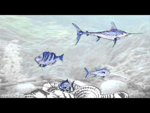 swimming around ... music: robert wyatt - the whole point of no return (1997) [MP4]