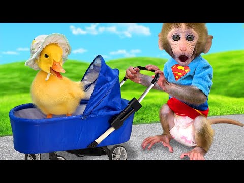 Monkey Baby Bon Bon makes the duckling go to the toilet and Eats Ice Cream with puppy at the pool