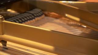 Turin Brakes - Save You | Piano Cover