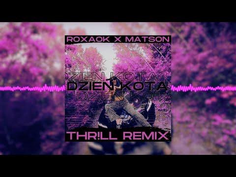ROXAOK x MATSON - DZIEŃ KOTA (THR!LL REMIX)