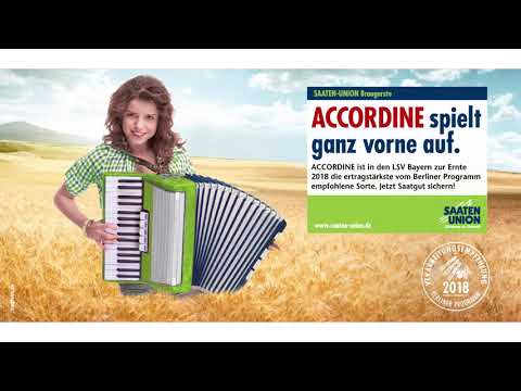 Saaten-Union: ACCORDINE Braugerste mit Dreifach-Qualität!