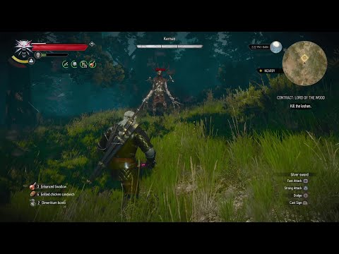 The Witcher 3 Pt. 109 - Side Quest: Take What You Want/Contract: Lord of the Wood (Kernun)