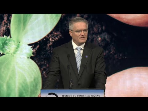 OECD lifts 2024 growth forecasts, driven by US | AFP