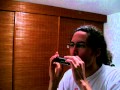 At the gates - Bister Verklighet (Harmonica cover by W Constantino)