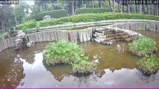 東公園・池LIVEカメラ live webcam