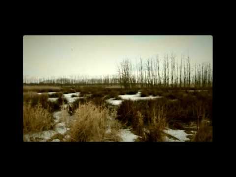 Aglie 827 - Die Spitze des Eisbergs/ Herrscher des Tages