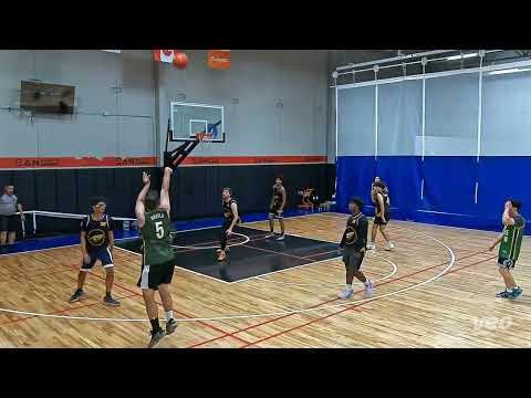 Gryphons tier 16 Vision - tcbl sunday