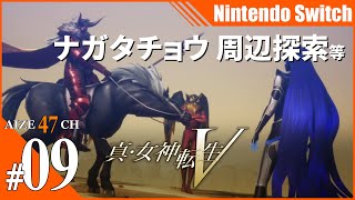 #9【ゲーム実況】 真・女神転生V ナガタチョウ 周辺探索：ゲンブ戦など【AIZE47CH】