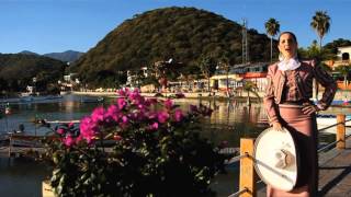 Mariachi Estrella de México, Canción "Guadalajara"