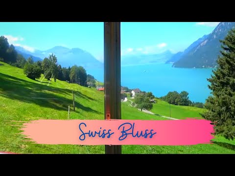 Experience the Treib-Seelisberg Bahn mountain train TSB from every angle