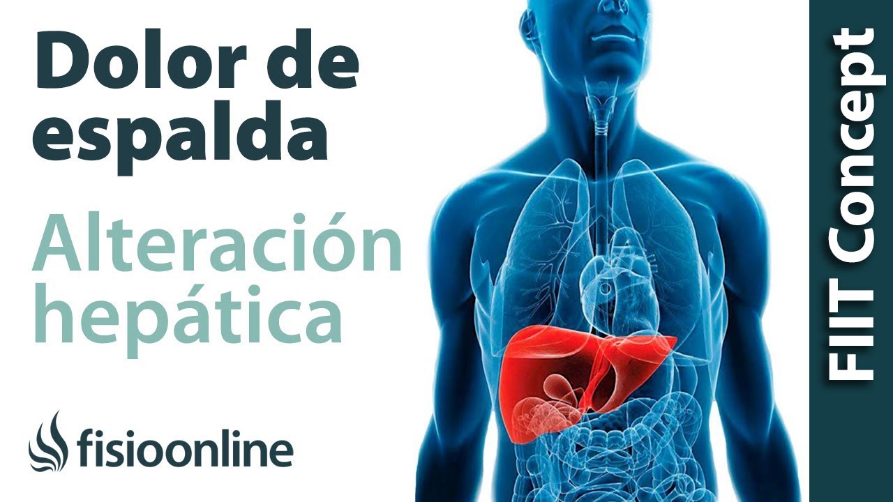 Disfunción de hígado y dolor de espalda, dorsal, cervical y cabeza - Causas y tratamiento