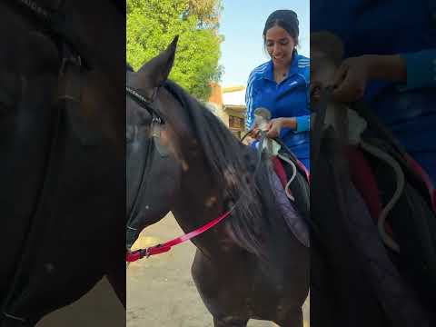 اعملي متابعه اضغط subscribe وفعل الجرس وهيوصلك كل جديد 😂