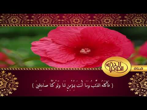 سورة يوسف كاملة فضيلة الشيخ القارئ عبدالله بن يوسف الكناني