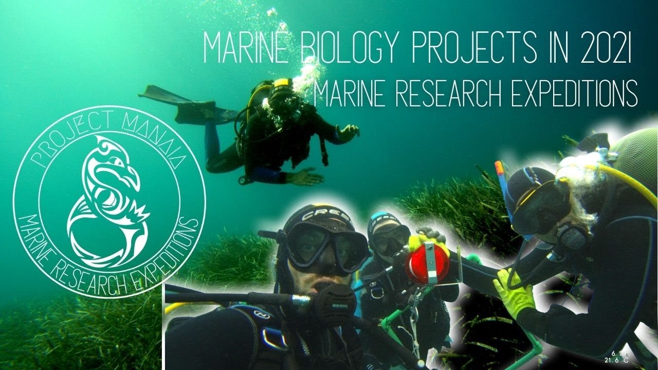 What are some marine research topics? Tipseri