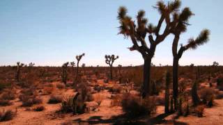 Birth - Found A Way Out